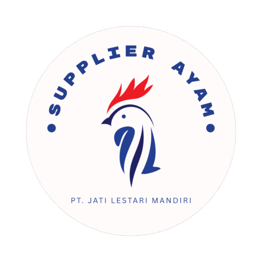 Supplier Ayam